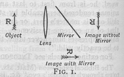 Joley & Waterhouse, Camera Obscura, Fig. 1